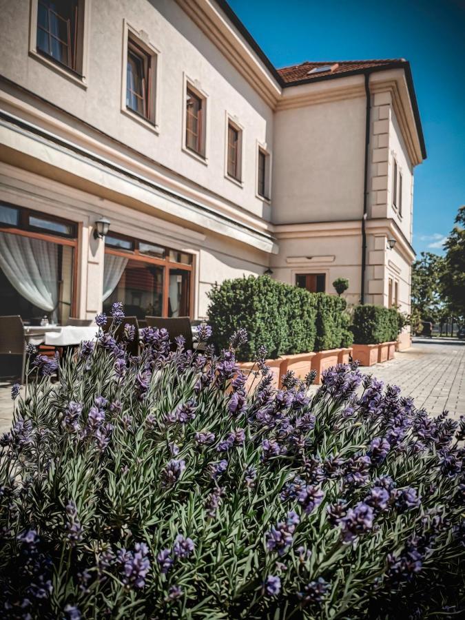 Restaurant Pansion Wien Cierny Brod Eksteriør billede